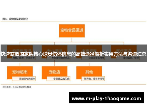 快速获取国家队核心球员伤停信息的高效途径解析实用方法与渠道汇总