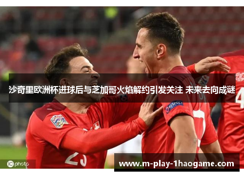 沙奇里欧洲杯进球后与芝加哥火焰解约引发关注 未来去向成谜